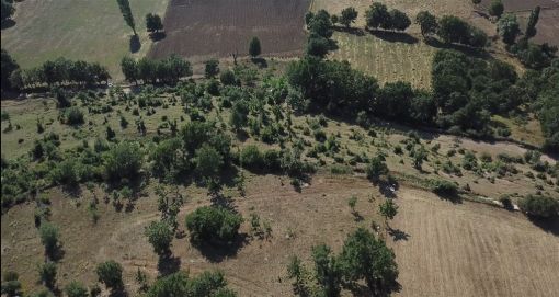  Bir Takla Attık Tarlayı Sattık