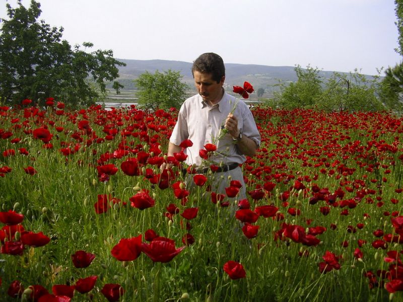 Arazilerde Düzleme Yapımı