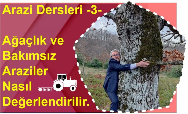 Arazi Dersleri 3 - Ağaçlık ve Bakımsız Araziler Nasıl Değerlendirilir ?